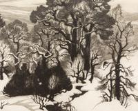 Winter Woods , edition 50