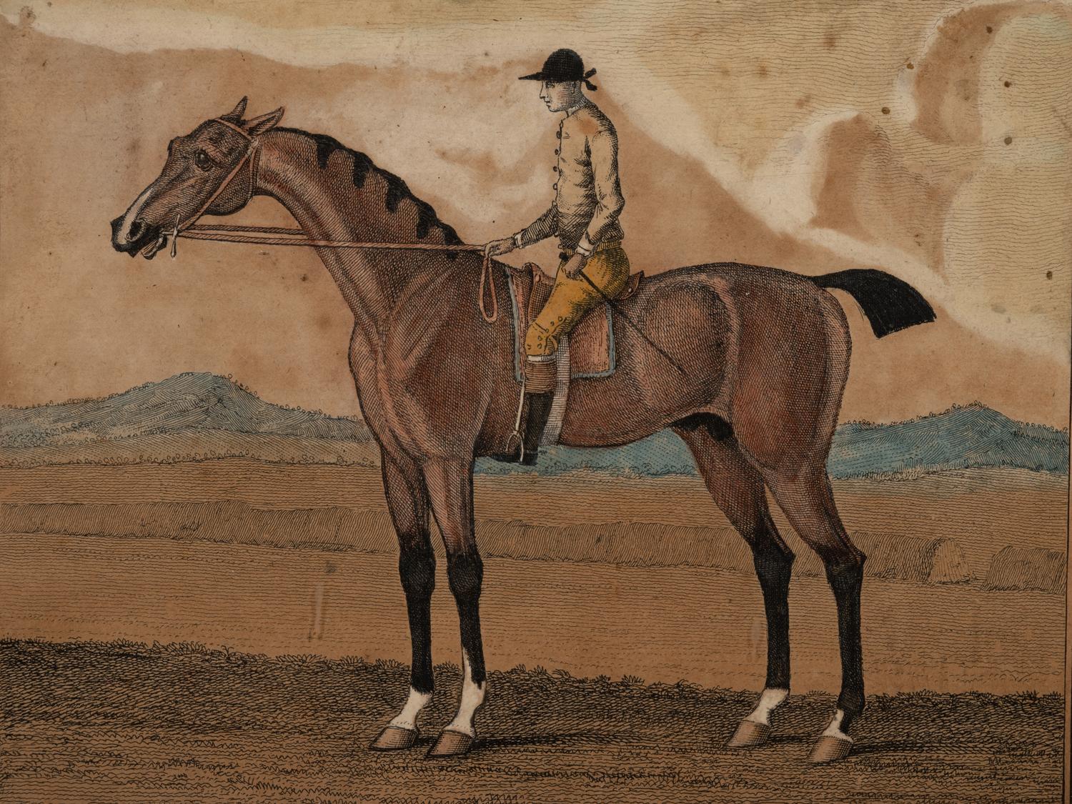 Two Pairs of Hand Colored Engravings (17th/18th Century)