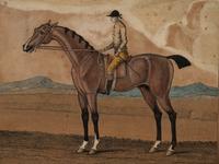 Two Pairs of Hand Colored Engravings (17th/18th Century)