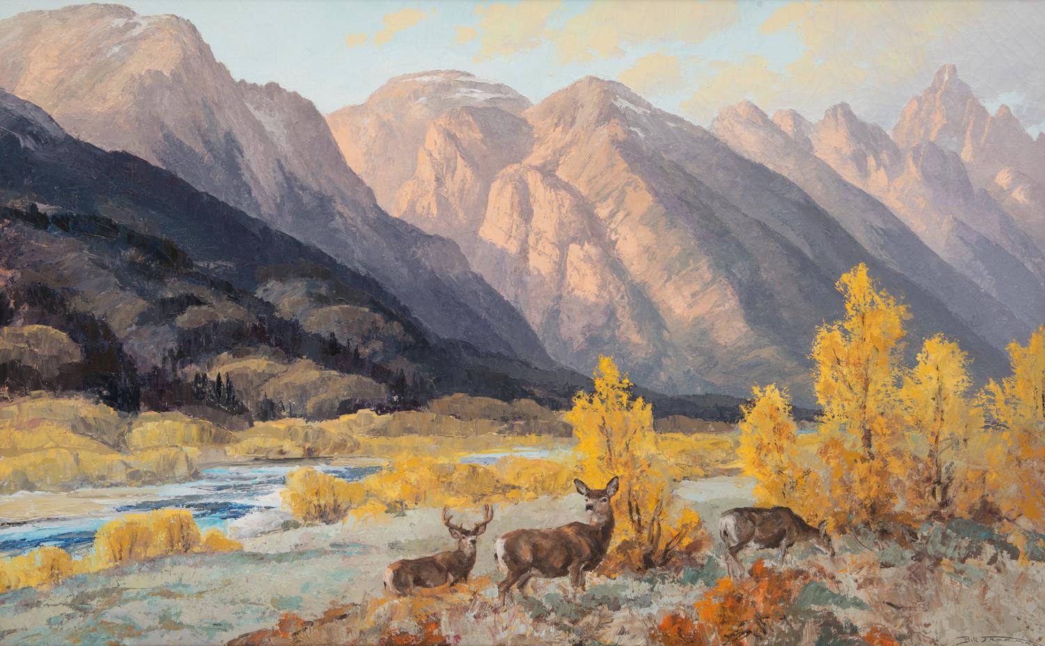 Deer In Western Wyoming