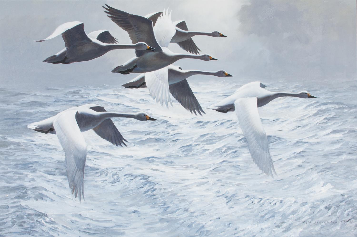 Keith Shackleton, (British, b. 1923), Swans Across Atlantic, 1983
