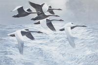 Keith Shackleton, (British, b. 1923), Swans Across Atlantic, 1983