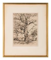 Wayside Inn—Oaks in Spring , 1926