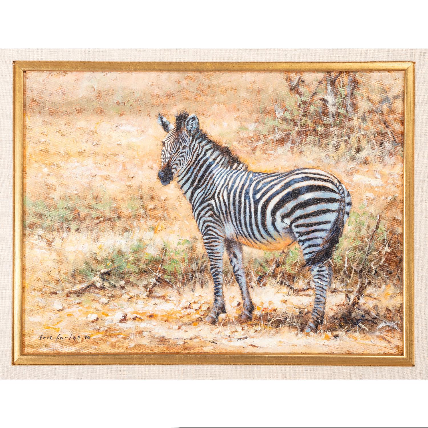 Zebra
