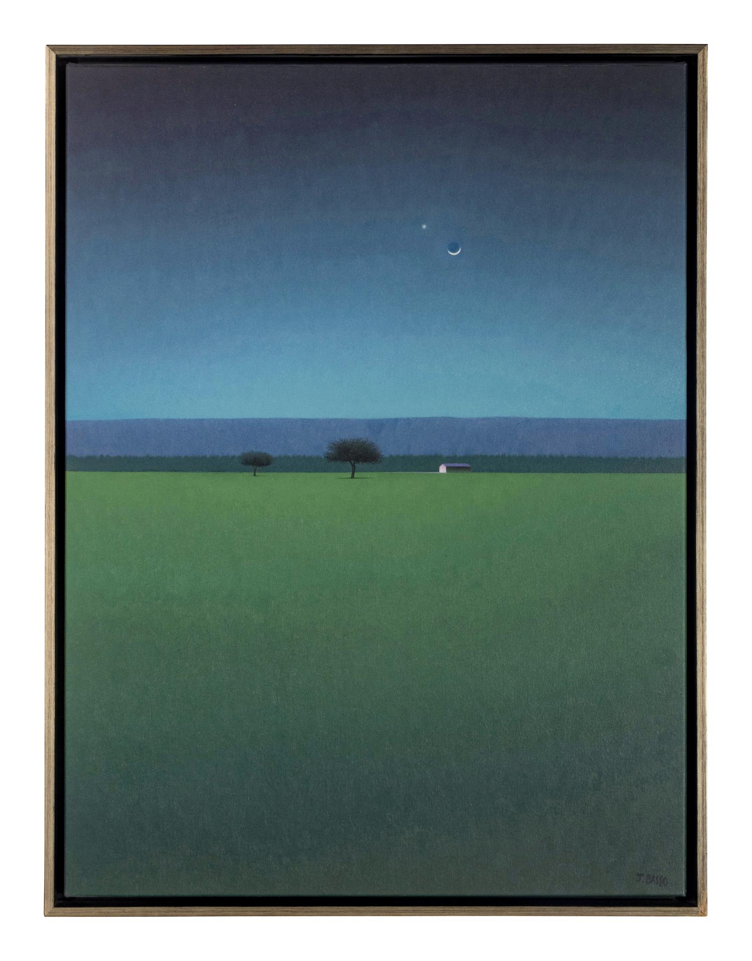 Noche de Luz Turqueza , 2011