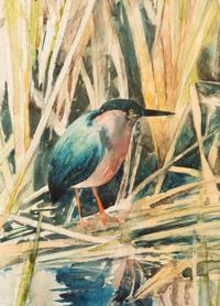 In the Reeds