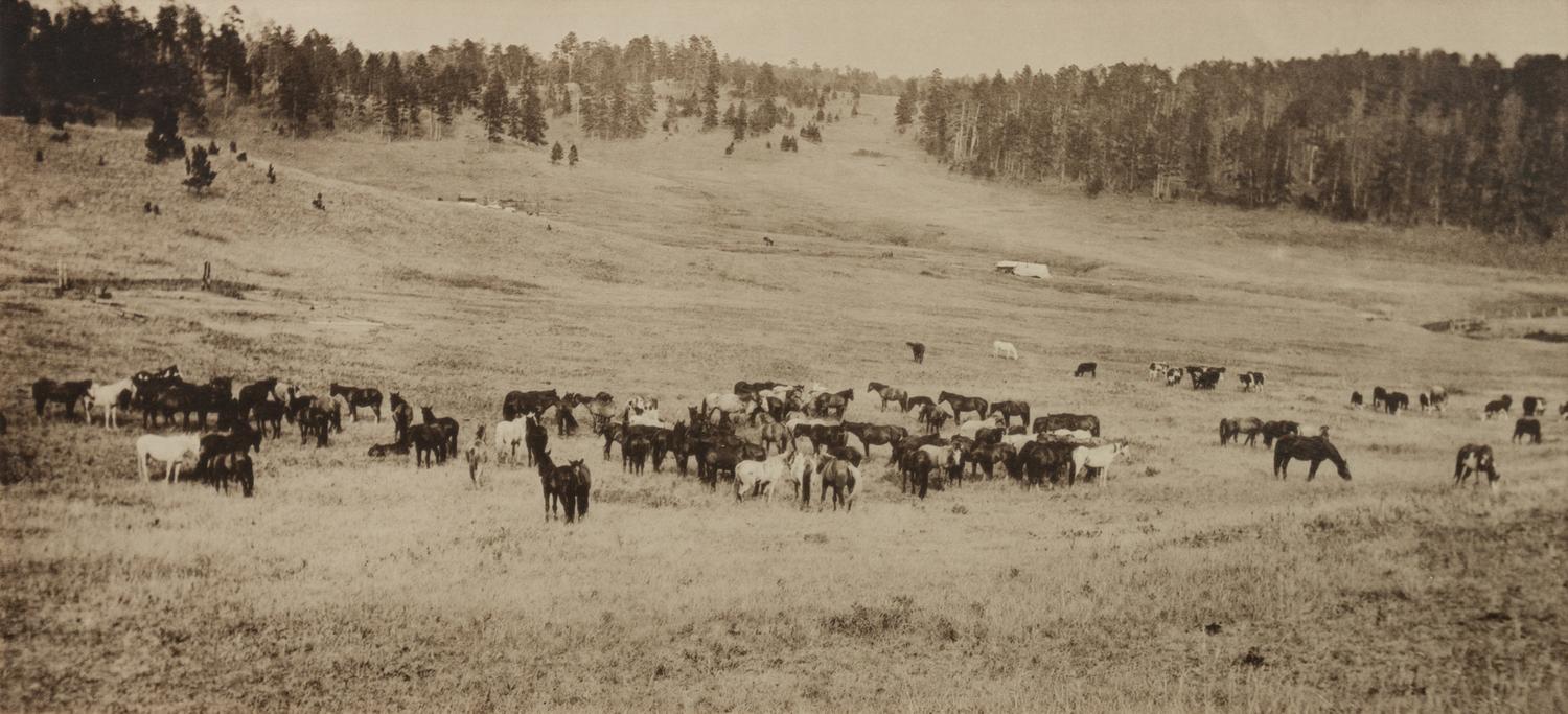 Group of Three Photographs