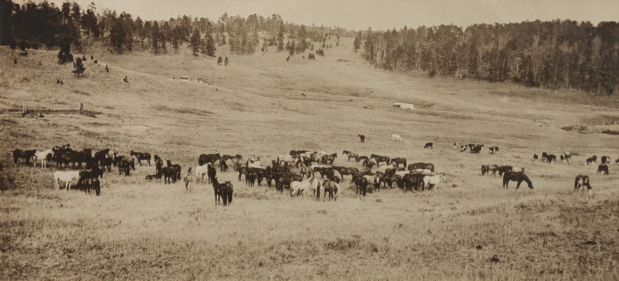 Group of Three Photographs