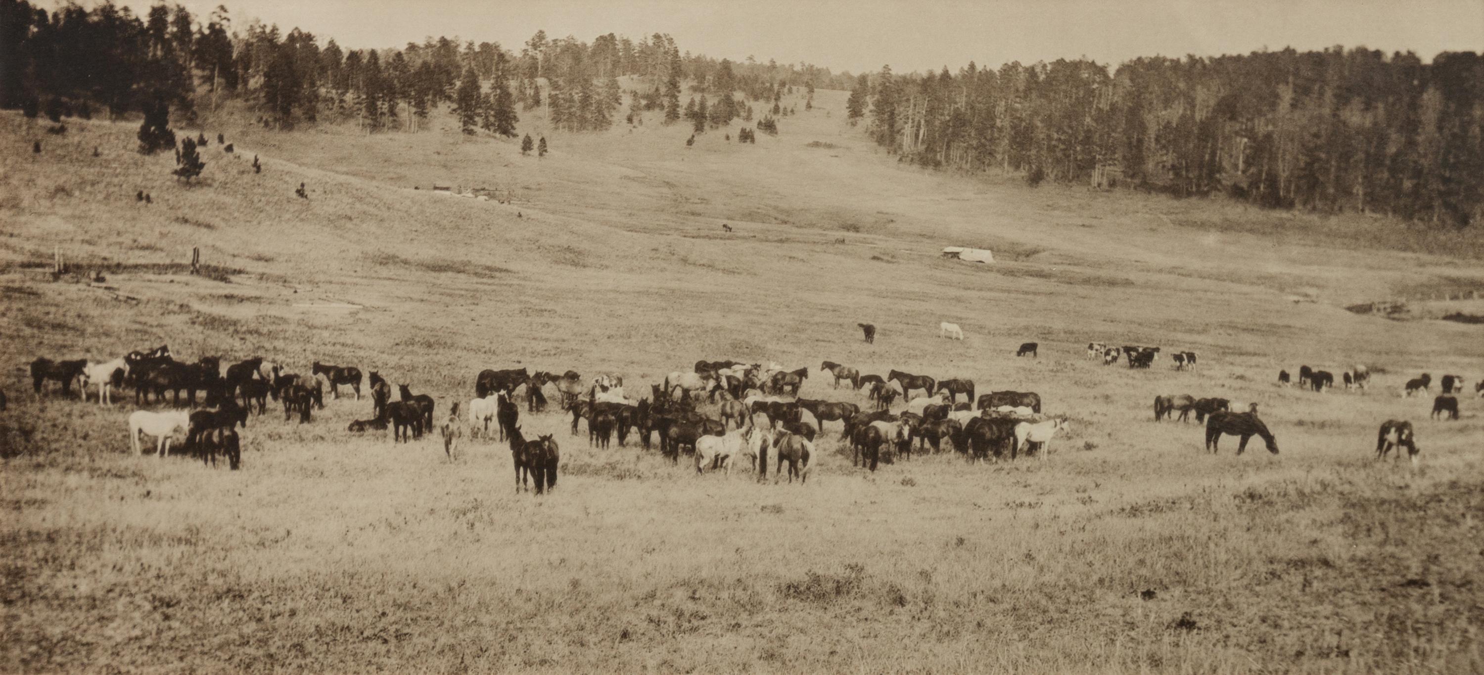 Group of Three Photographs