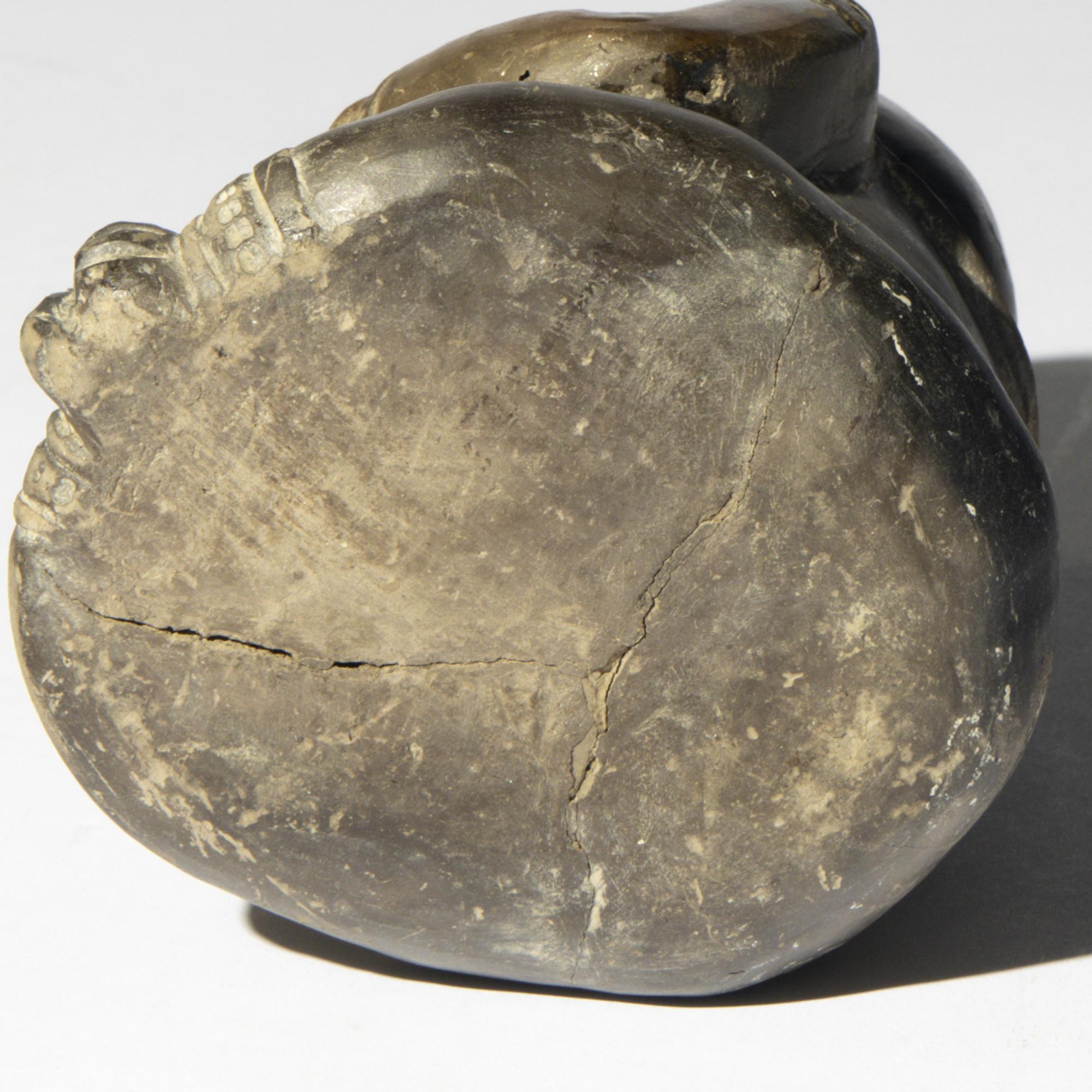 A Peruvian Blackware Effigy Vessel
