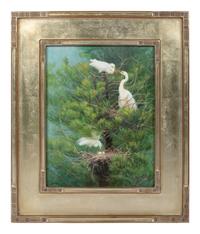 The Family Tree - Great Egrets , 2008