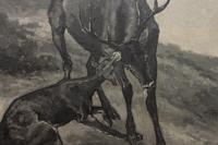 The Buck Overtaken , circa 1888