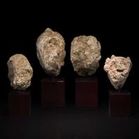 A group of four small stucco heads 石灰岩佛首一组四件 Gandhara, 4rd-5th Century ??? ?????