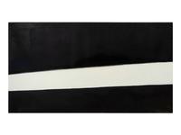 Dark and Light (with homage to Manet) 1985-1986, 1991