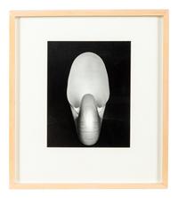 Edward Weston (1886-1958) Shell, 1927