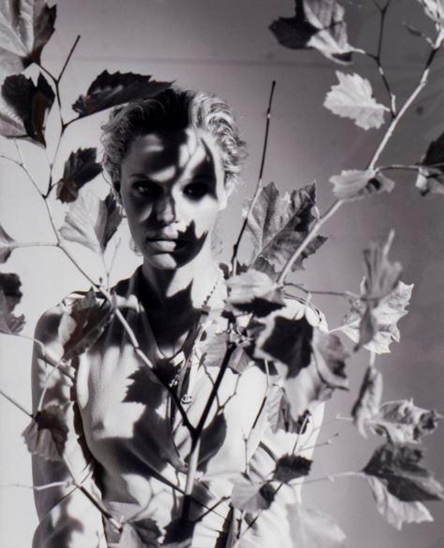 Untitled, 2001
