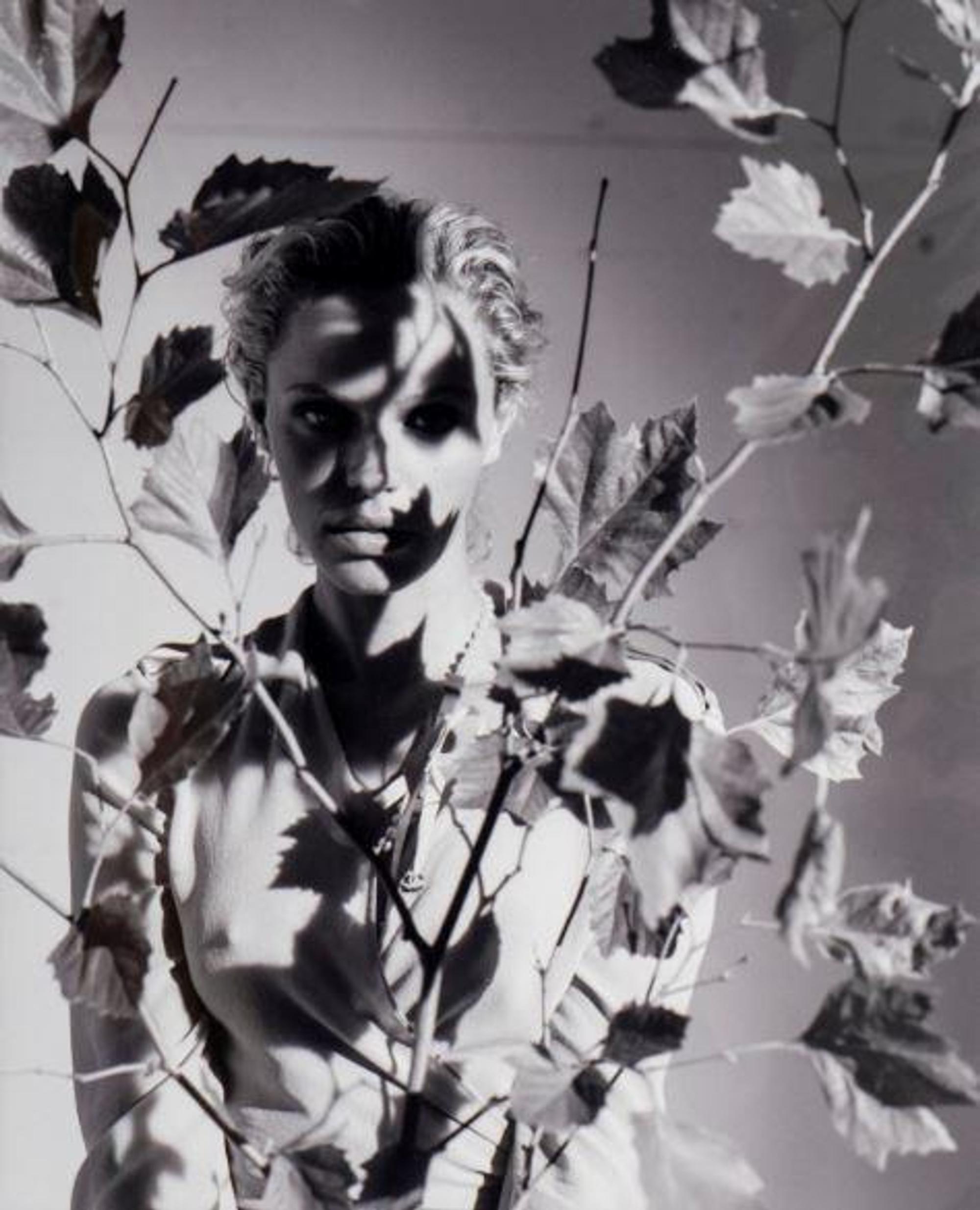 Untitled, 2001