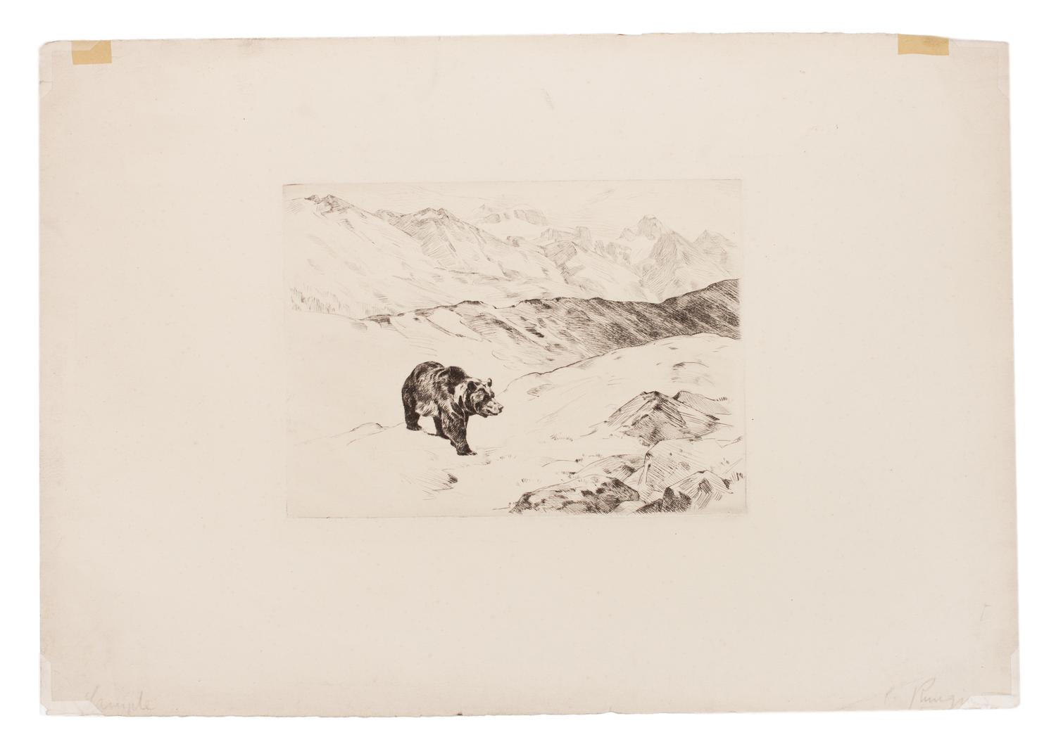 An Old Prospector