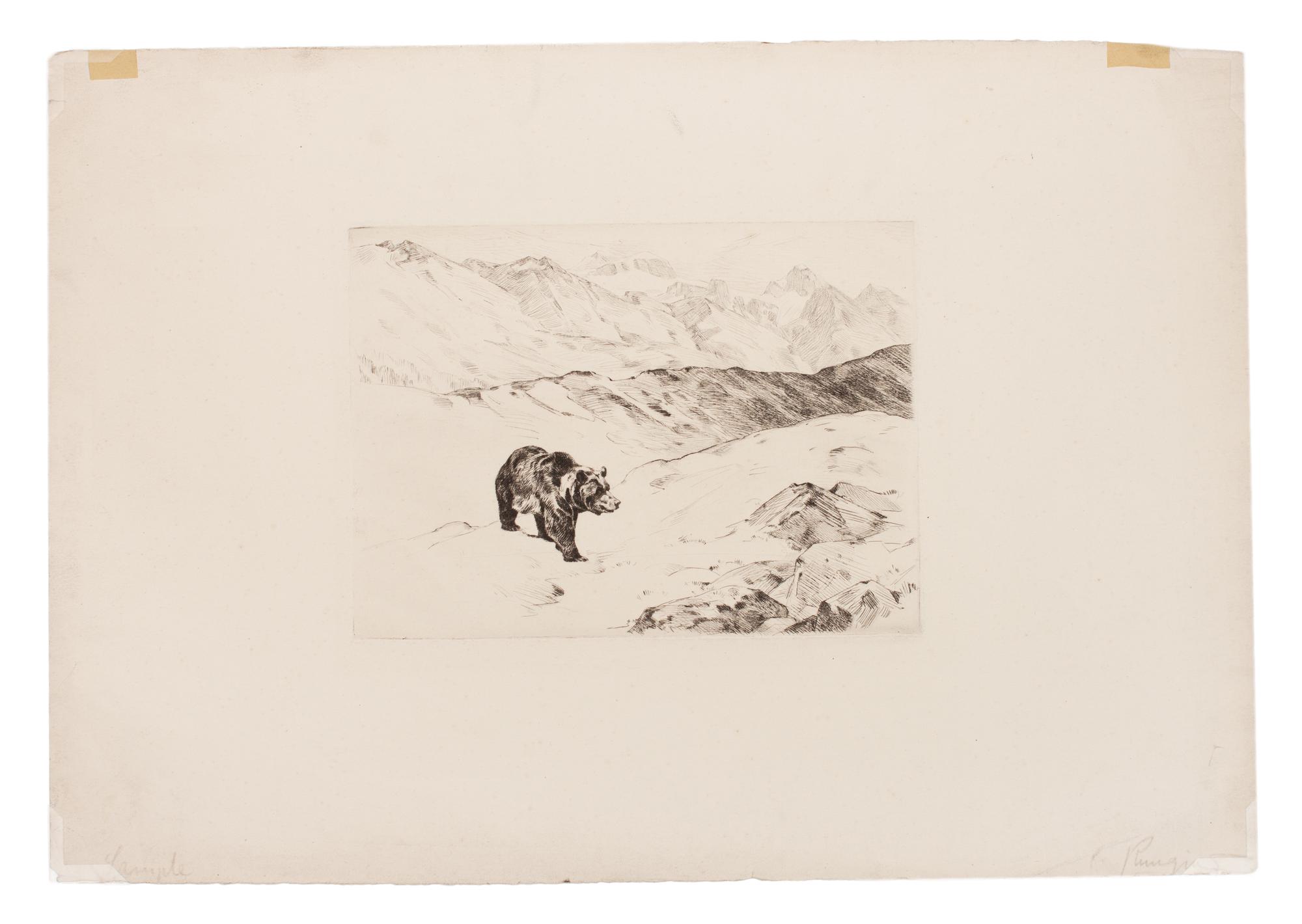 An Old Prospector