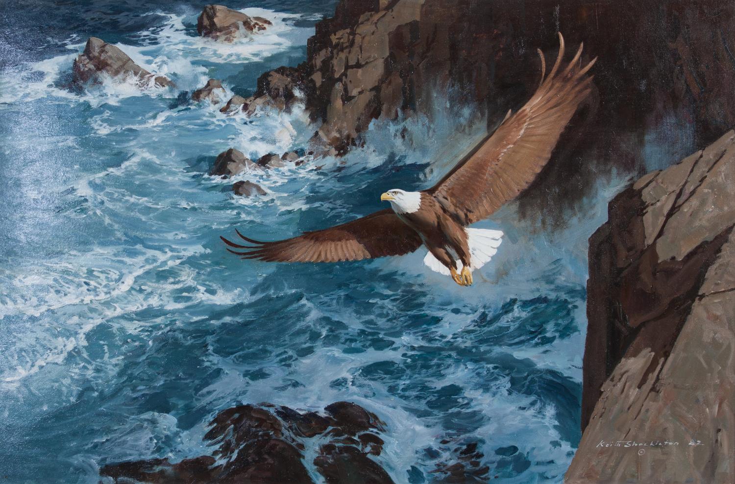 Keith Shackleton, (British, b. 1923), Bald Eagle, 1982