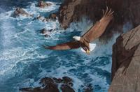 Keith Shackleton, (British, b. 1923), Bald Eagle, 1982