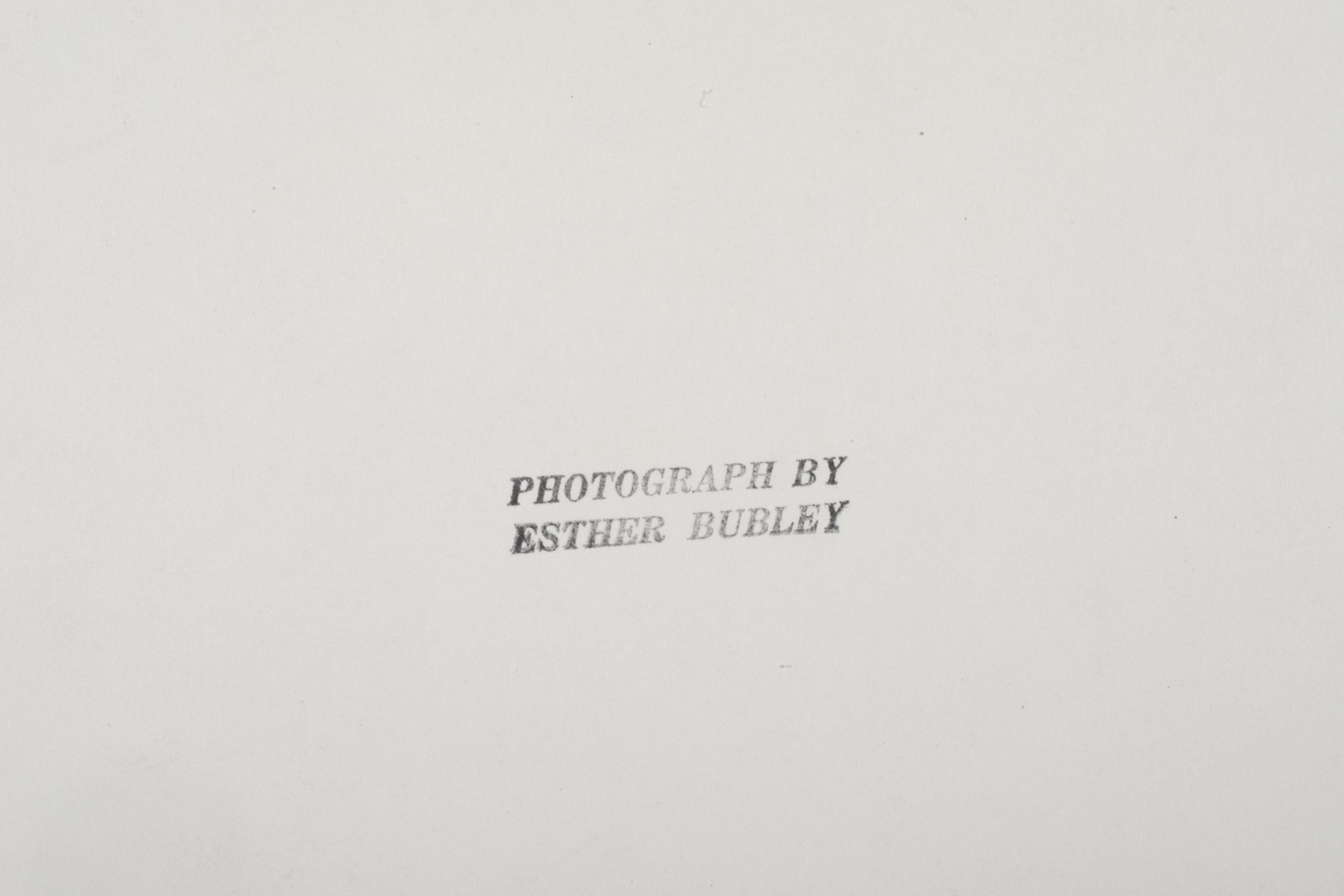 A group of three works depicting the Rothstein Children, New Rochelle, New York, 1958; printed ca. 1958 (three works)