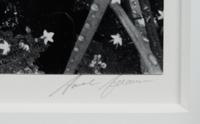 Trailside, Near Juneau, Alaska, 1947-1948