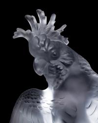 A Lalique Ara Cockatoo Sculpture