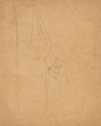 Gwen John (British, 1876–1939) — Portrait Study (with sketch verso)