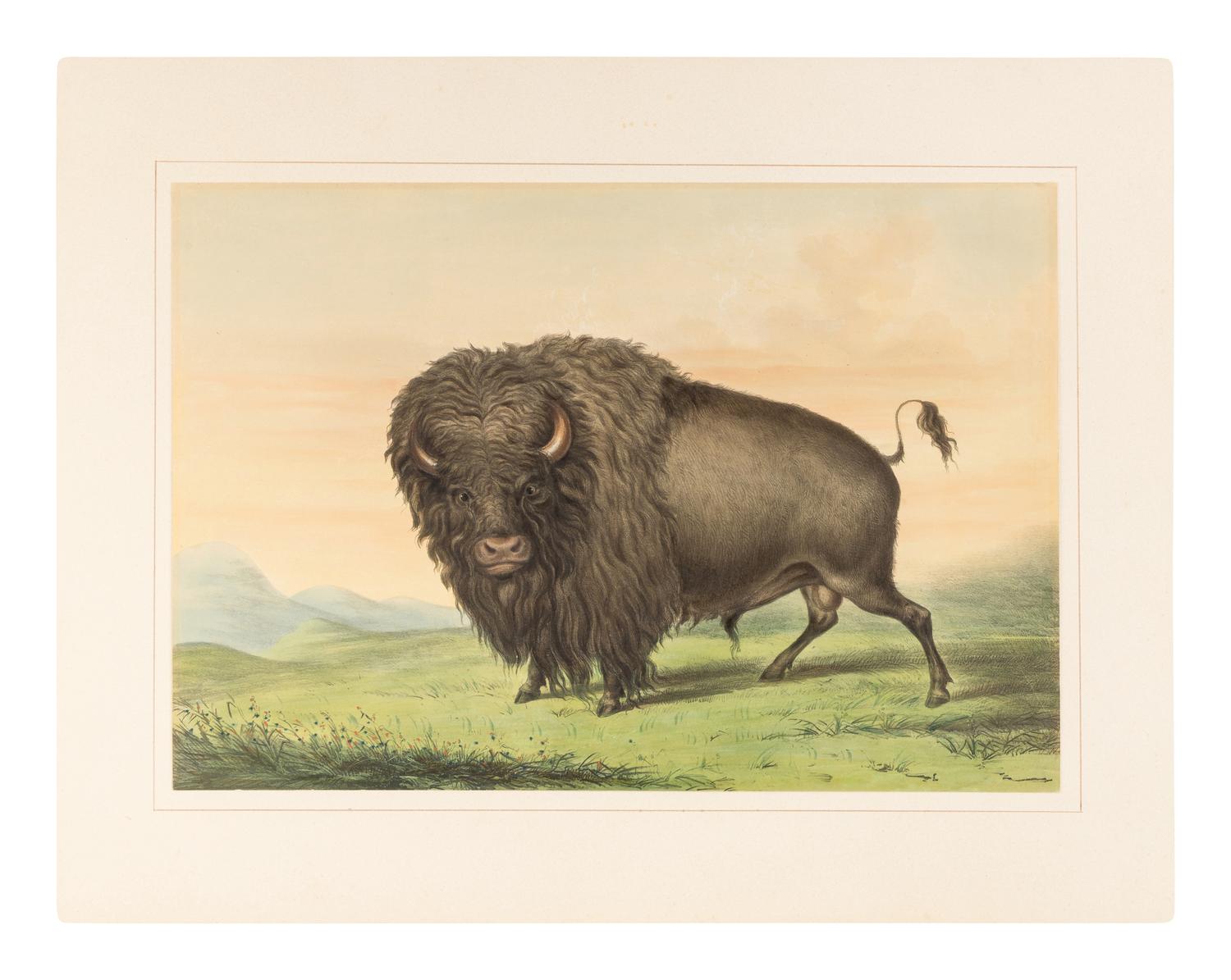 CATLIN, George (1796-1872). Catlin's North American Indian Portfolio. Hunting Scenes and Amusements of the Rocky Mountains and Prairies of America. London: Geo. Catlin/Piccadilly Place, 1844 [but Chatto & Windus, 1875].