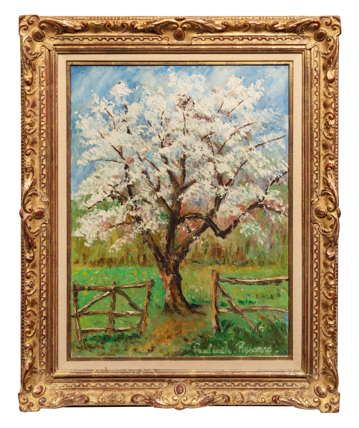 Au printemps, pommier en fleurs