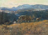 Charles M. Russell, (American, 1864-1926), Black Tail, Buffalo Days, 1916