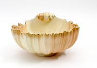 A Royal Worcester Porcelain Bowl Width 8 3/4 inches. — 1892