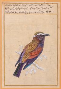 Four Indian and Islamic Miniature Paintings Depicting Birds