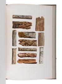 [NATURAL HISTORY]. WEDDELL, Hugh Algernon (1819-1877). Histoire Naturelle des Quinquinas, ou Monographie du Genre Chinchona, suivie d'une Description du Genre Cascarella et de quelques autres Plantes de la meme Tribu . Paris: Victor Masson, 1849.