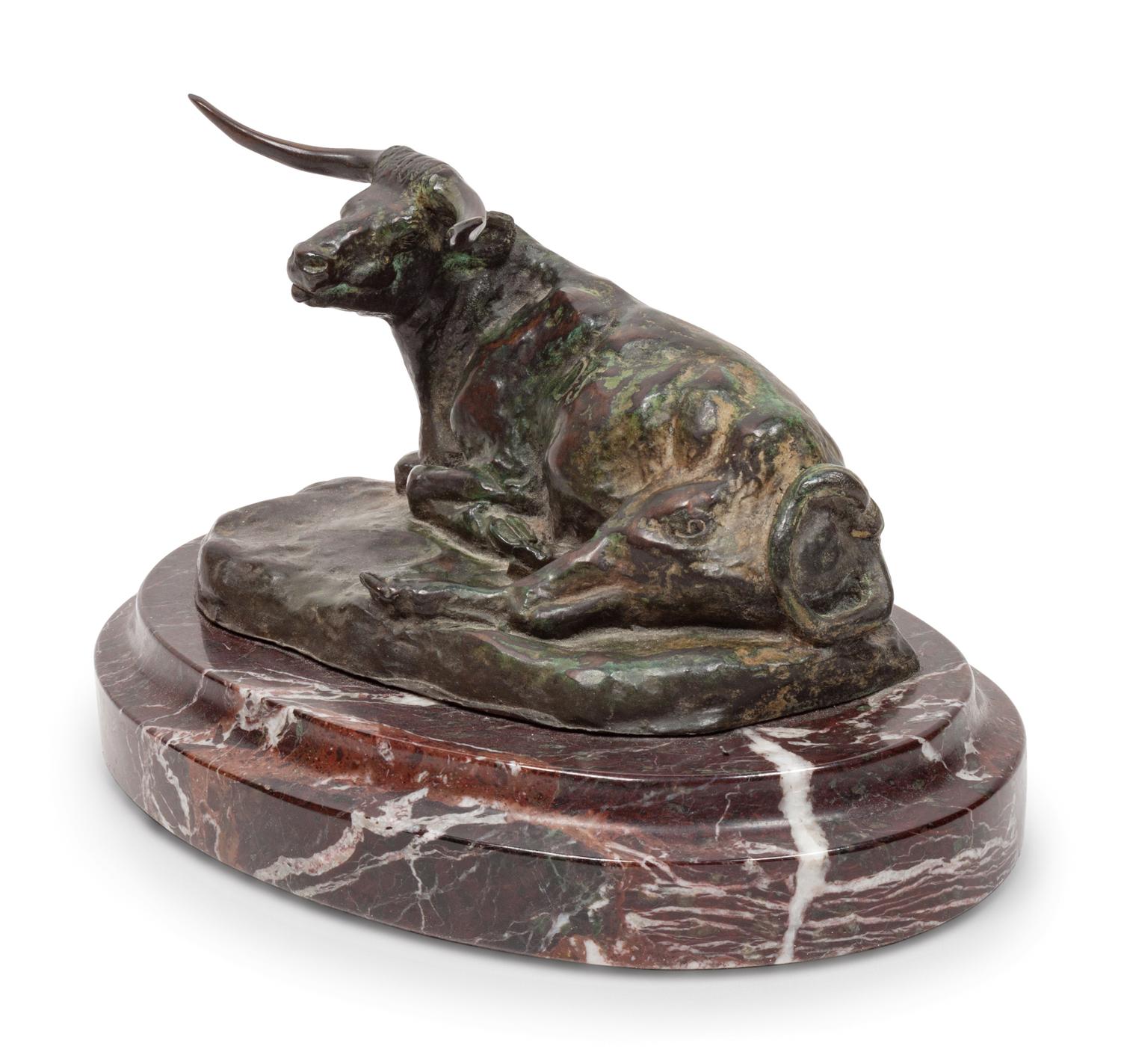 Steer