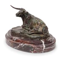 Steer