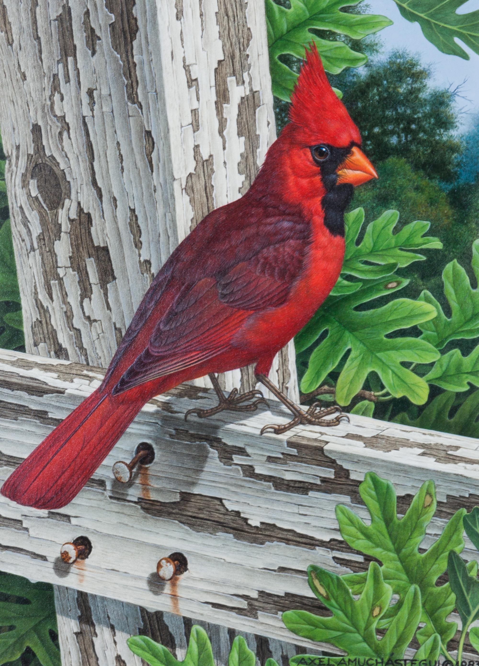 Axel Amuchastegui, (Argentinean, 1921-2002), Cardinal, 1983