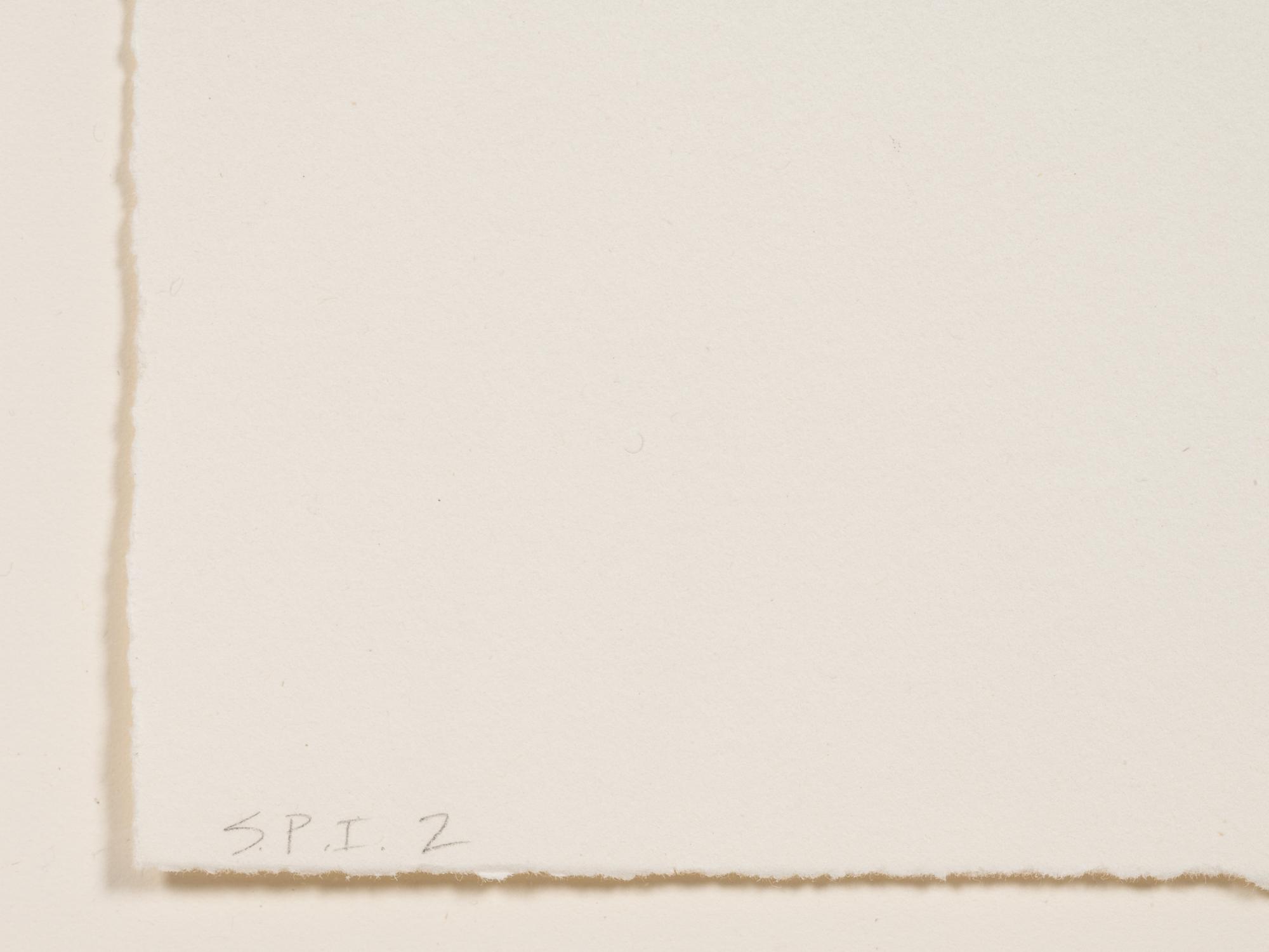 Untitled, no. 3 of 12 (Attempt at Meeting ; Hair) (from Anatomy)
