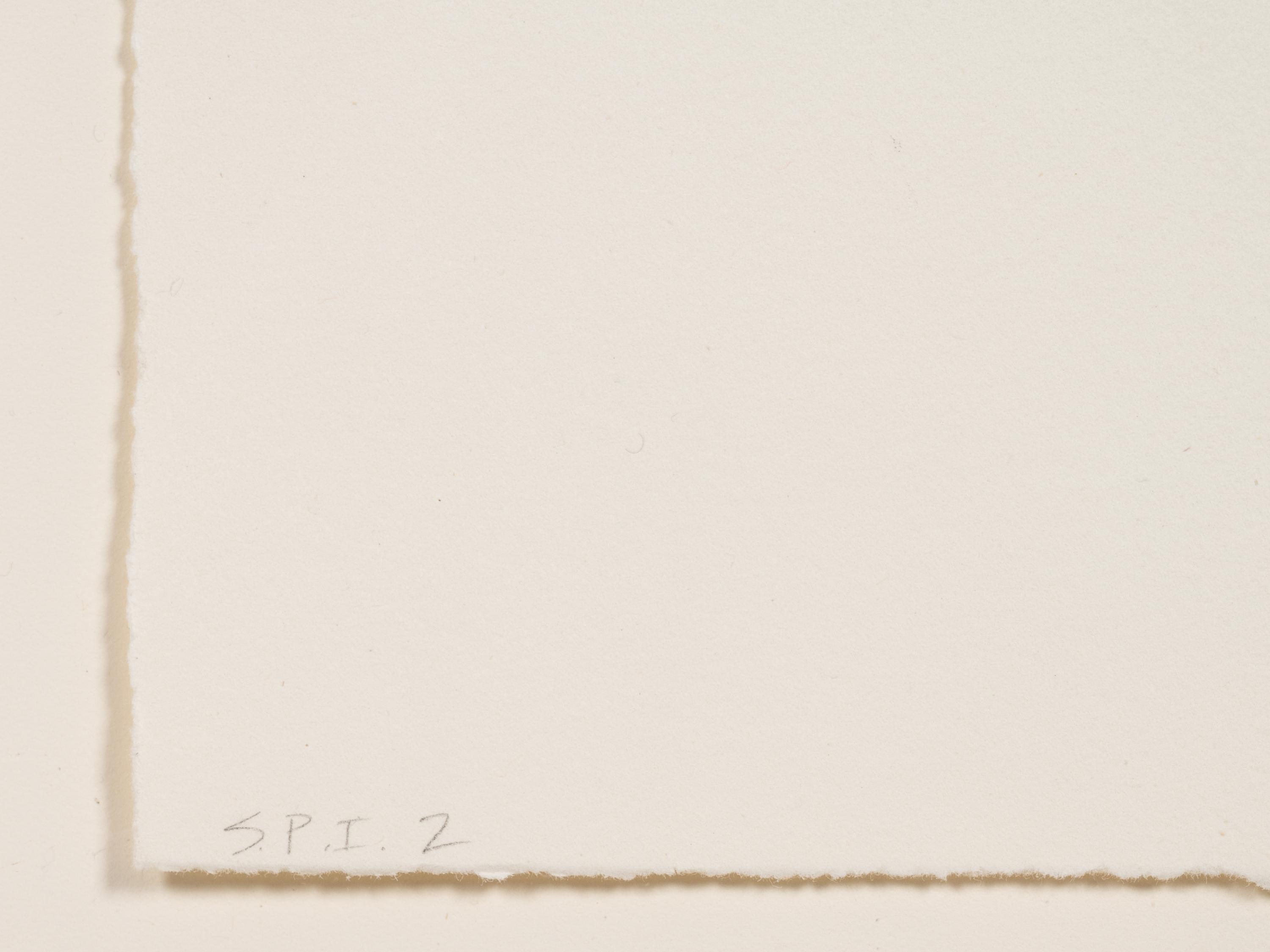 Untitled, no. 3 of 12 (Attempt at Meeting ; Hair) (from Anatomy)