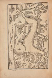 [Early Printing] Vegetius Renatus, Flavius. Flavii Vegetii Renati Vier bücher der Ritterschafft...