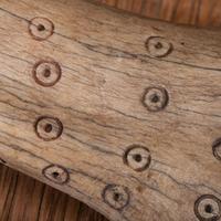 Northern Plains Elk Antler Quirt