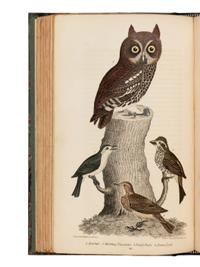 [Natural History] Wilson, Alexander, and Charles Lucian Bonaparte, and Sir William Jardine. American Ornithology; or, The Natural History of the Birds of the United States