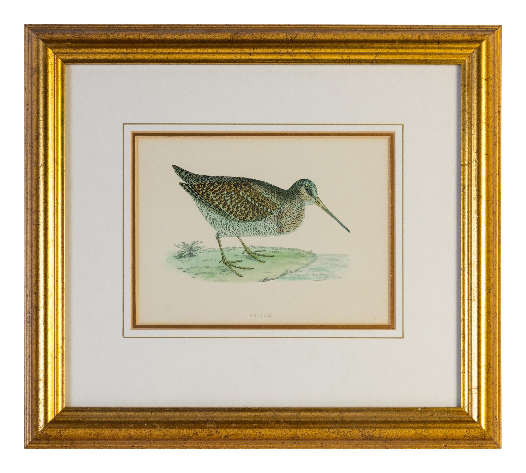 A Group of Twelve Framed Ornithological Prints