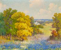 Texas Landscape