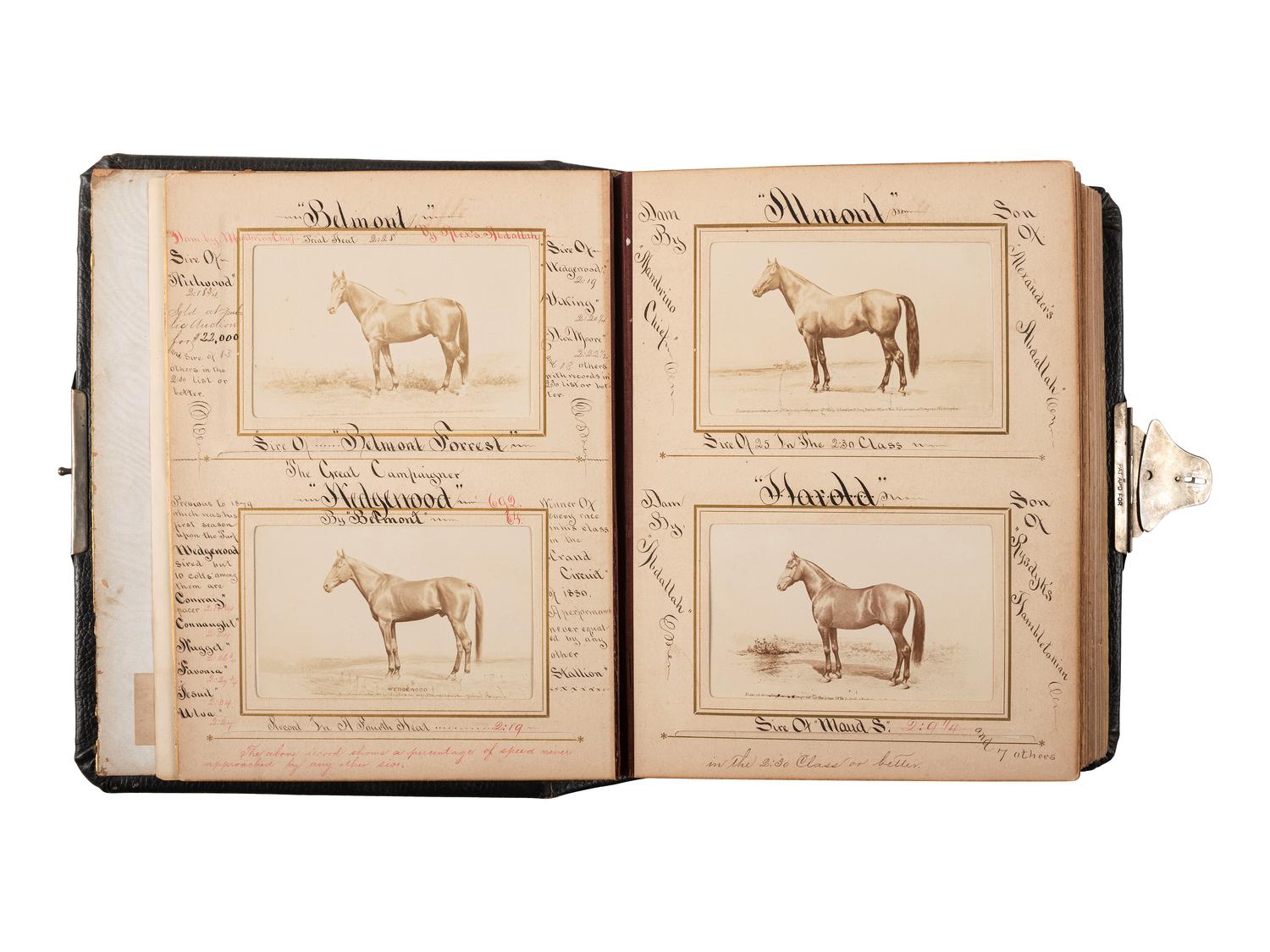 [EARLY PHOTOGRAPHY] -- [EQUESTRIAN]. SCHREIBER & SONS, photographers. Album containing 75 portraits of identified race horses. Philadelphia, PA: ca 1870s.