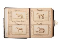 [EARLY PHOTOGRAPHY] -- [EQUESTRIAN]. SCHREIBER & SONS, photographers. Album containing 75 portraits of identified race horses. Philadelphia, PA: ca 1870s.
