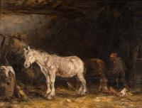Stable Scene