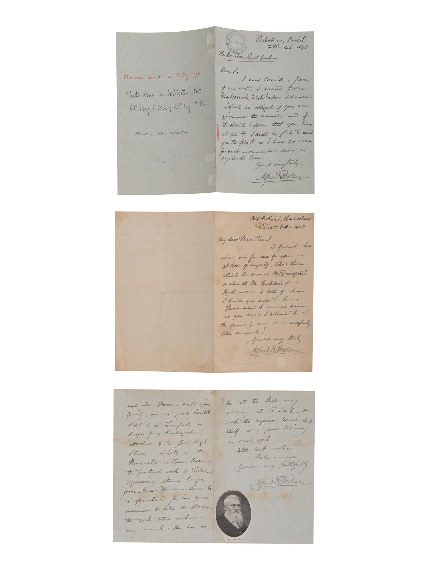 [NATURAL HISTORY]. WALLACE, Alfred Russel (1823-1913). Autograph letter signed ("Alfred Wallace"), to Sir William Turner Thiselton-Dyer, 14 February 1898, Parkstone, Dorset.