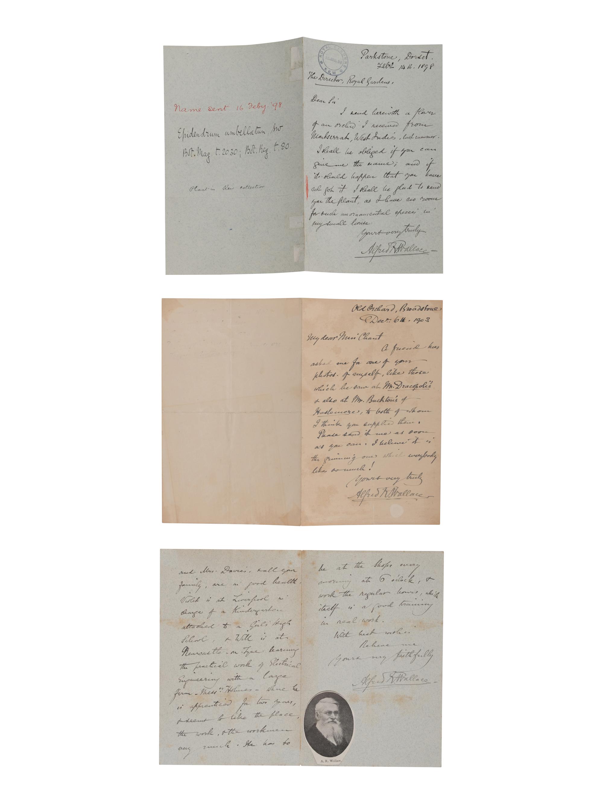 [NATURAL HISTORY]. WALLACE, Alfred Russel (1823-1913). Autograph letter signed ("Alfred Wallace"), to Sir William Turner Thiselton-Dyer, 14 February 1898, Parkstone, Dorset.